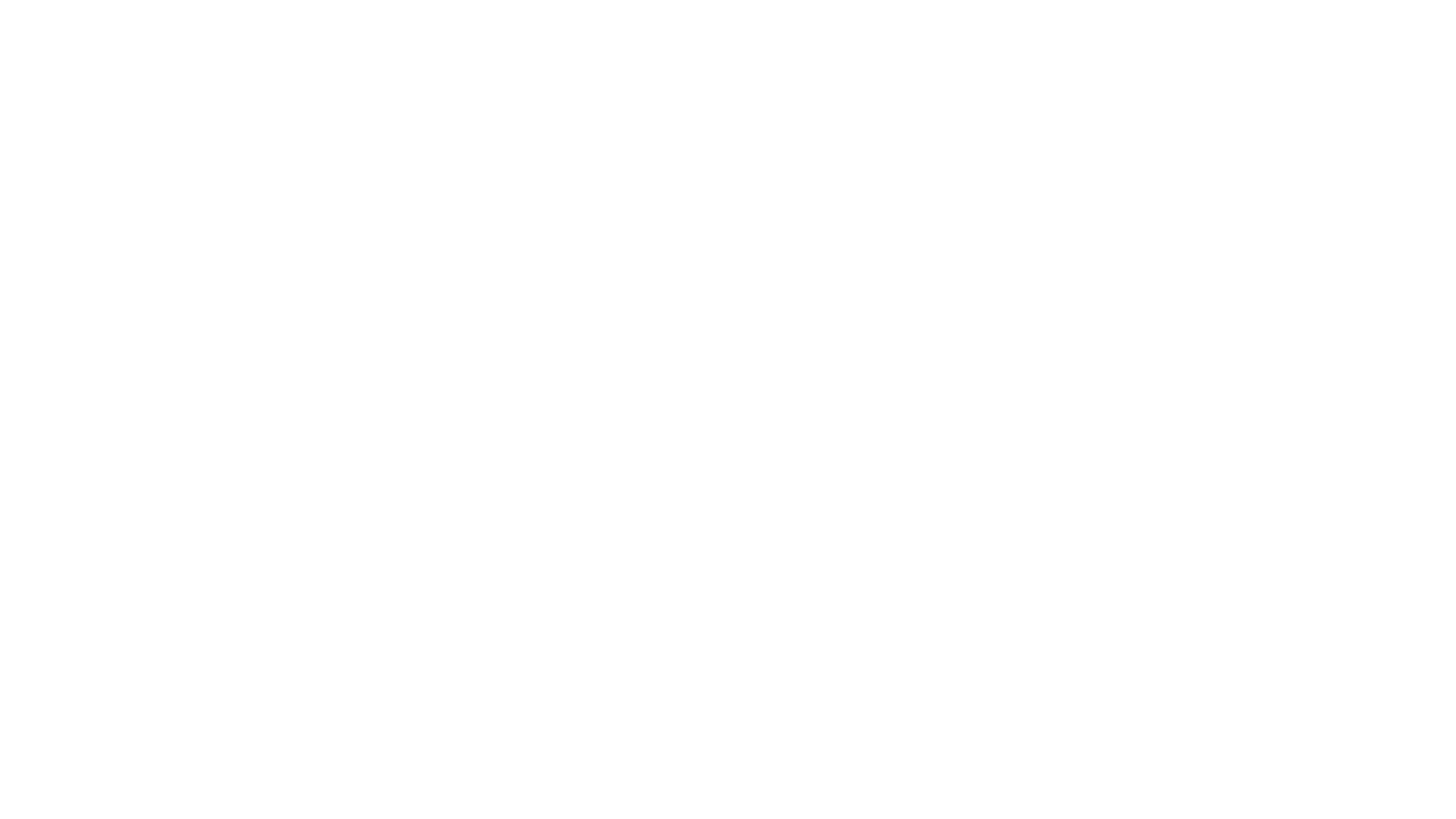 fs1-