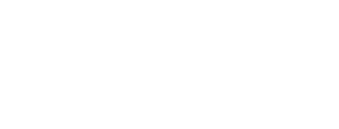 ziggo
